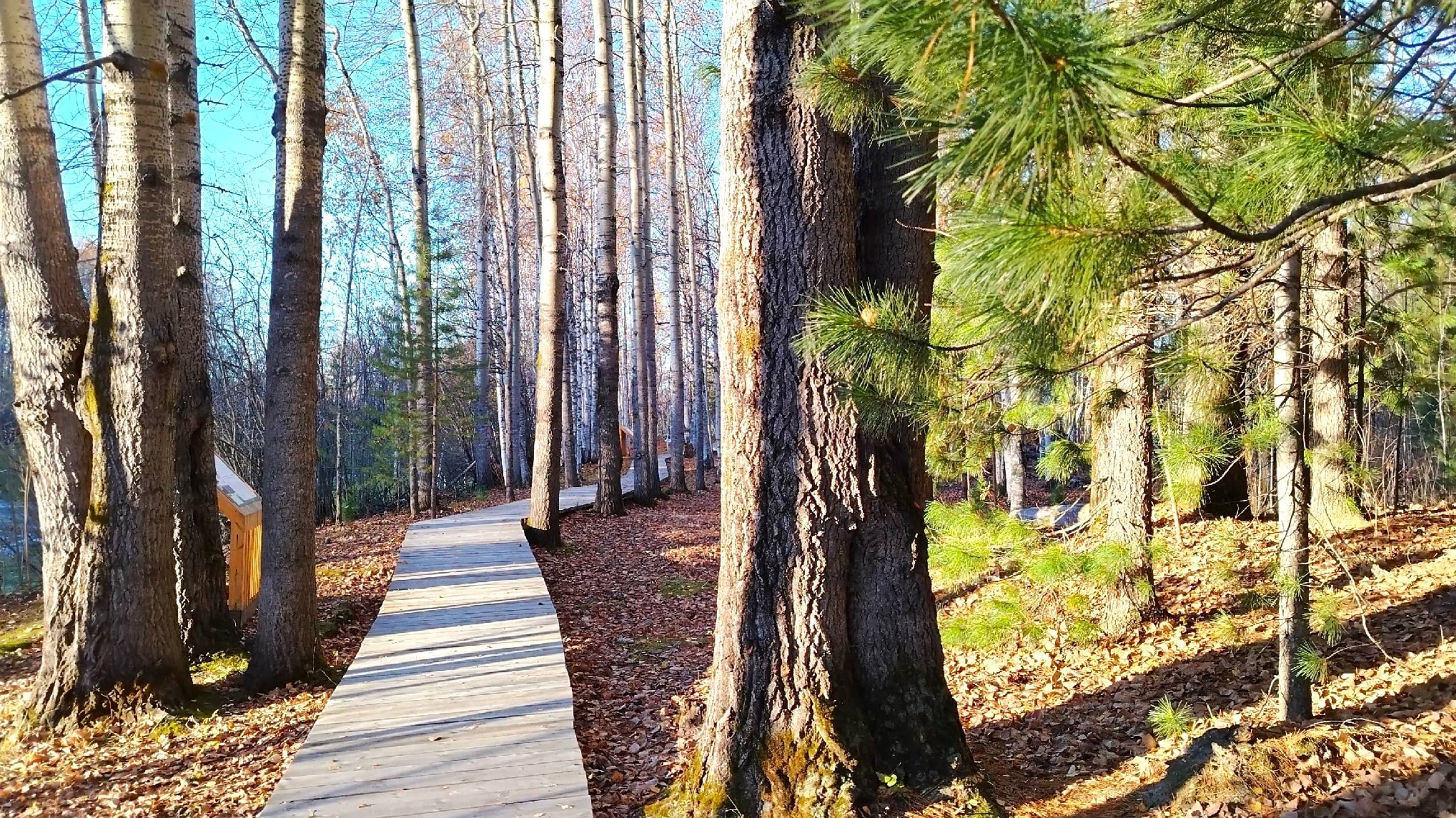 В Ханты-Мансийске появилась новая «экотропа» смотреть онлайн