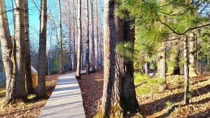 В Ханты-Мансийске появилась новая «экотропа»