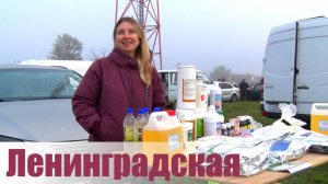 Птичий рынок. Ленинградская. [12.10.2025]