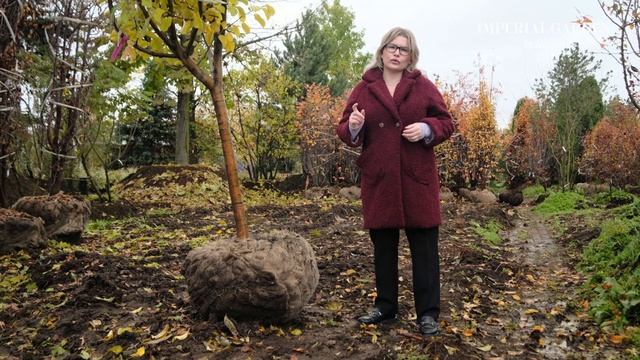 Осень в садовом центре Imperial Garden. Плодовые деревья