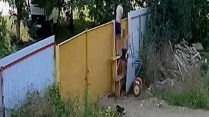 Видео кражи садовой тачки подростками