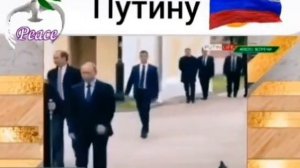 Путину голубь честь отдал