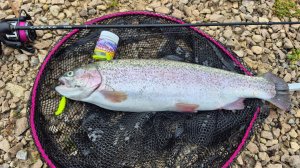 Форель предпочитает это! Рыбалка осенью ловля на спиннинг.