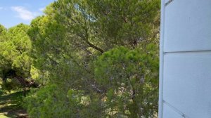 Crystal tat beach family room