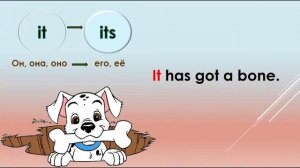 Личные и притяжательные местоимения | Possessive pronouns |