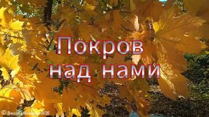 Покров над нами
