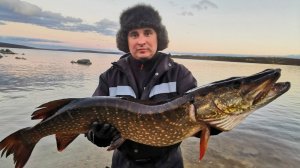 ЩУКИ / НАЛИМЫ / КУМЖА - ЛОВИЛОСЬ ВСЁ