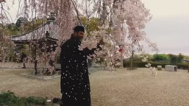 Вечный храм . о. Александр Старостенко смотреть онлайн