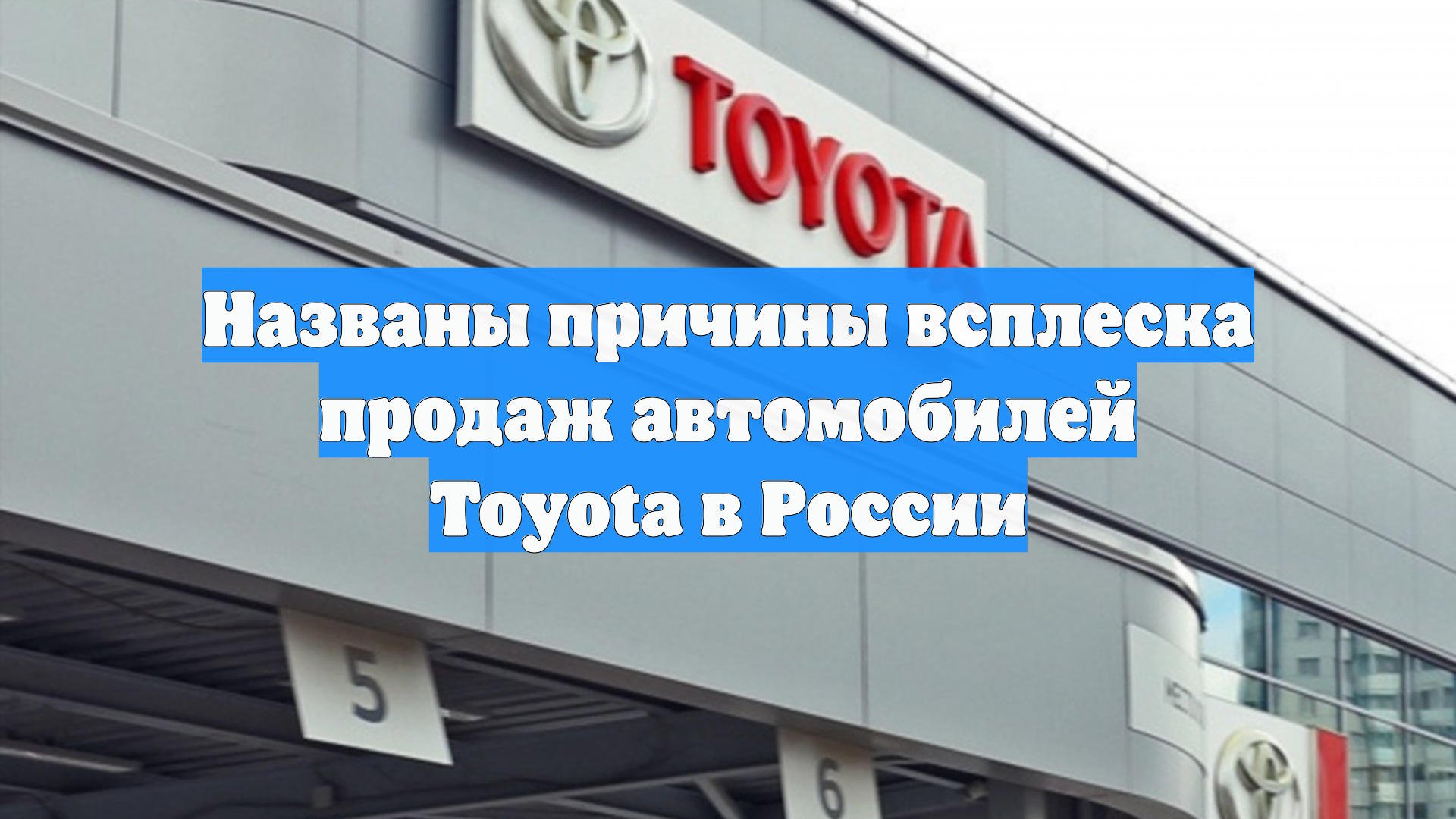 Первый Новостной