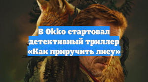 В Okko стартовал детективный триллер «Как приручить лису»