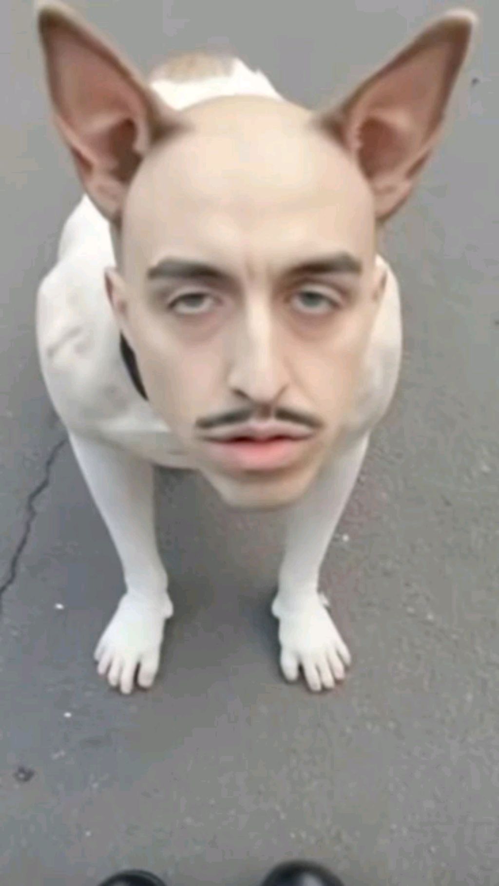 о себе смотреть онлайн