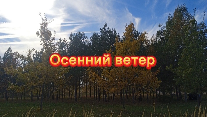 Осенний ветер - красивая душевная песня смотреть онлайн