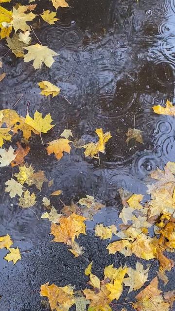 Вечеринка на бассейне или "Зачем вы здесь утонули"