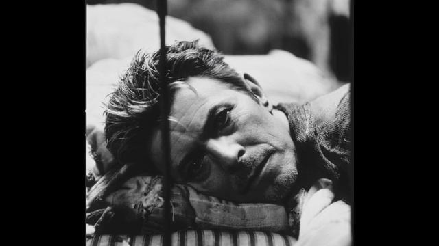 Дэвид Боуи ( David Bowie )