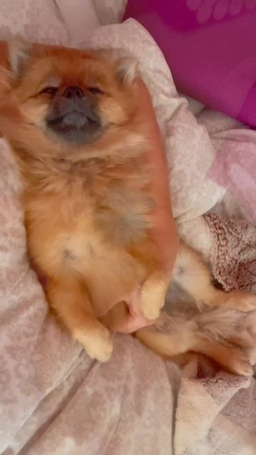 Мирочка 💖💖💖 смотреть онлайн