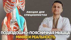 Подвздошно-поясничная мышца: всё, что нужно знать. Лекция для специалистов.
