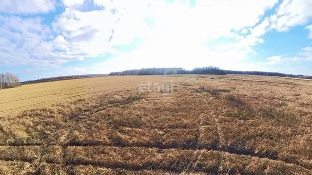 10083569 смотреть онлайн