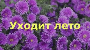 Уходит лето