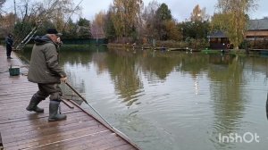 Поимки форели. РК Фишка Липки.