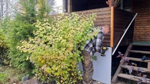 ЕСЛИ БОЛЯТ КОЛЕНИ ИДИТЕ К ЗУБНОМУ!