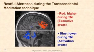 Удивительные вещи, которые происходят в вашем мозгу во время практики Трансцендентальной Медитации