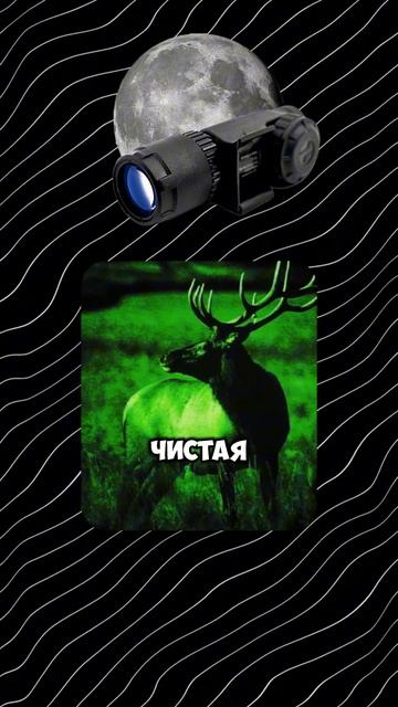 НОЧНИКИ ЛУЧШЕ ТЕПЛОВИЗОРОВ!? #тепловизор #охота #тепловизордляохоты #оружие #патрон смотреть онлайн