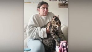 NEW! BRAIN TIME.  ЗАБАВНАЯ РЕАКЦИЯ ПИТОМЦЕВ НА ПОХОД К ВЕТЕРИНАРУ И ГРУМЕРУ