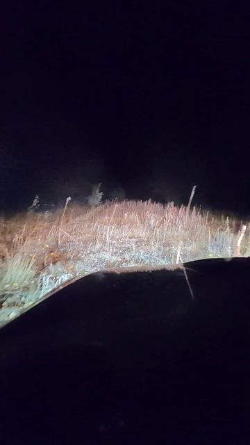 После дождя все дома кроме владельца нивы. смотреть онлайн