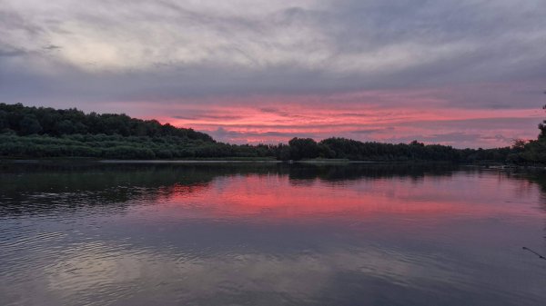 Чарыш - Лучшая рыбалка 2.0