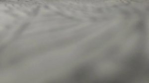 медведь стал козлом