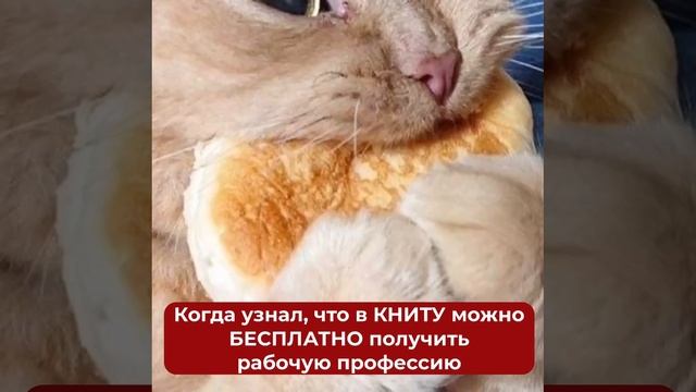 Студенты #ЛюбимогоТехнологического могут сейчас БЕСПЛАТНО получить рабочую профессию смотреть онлайн