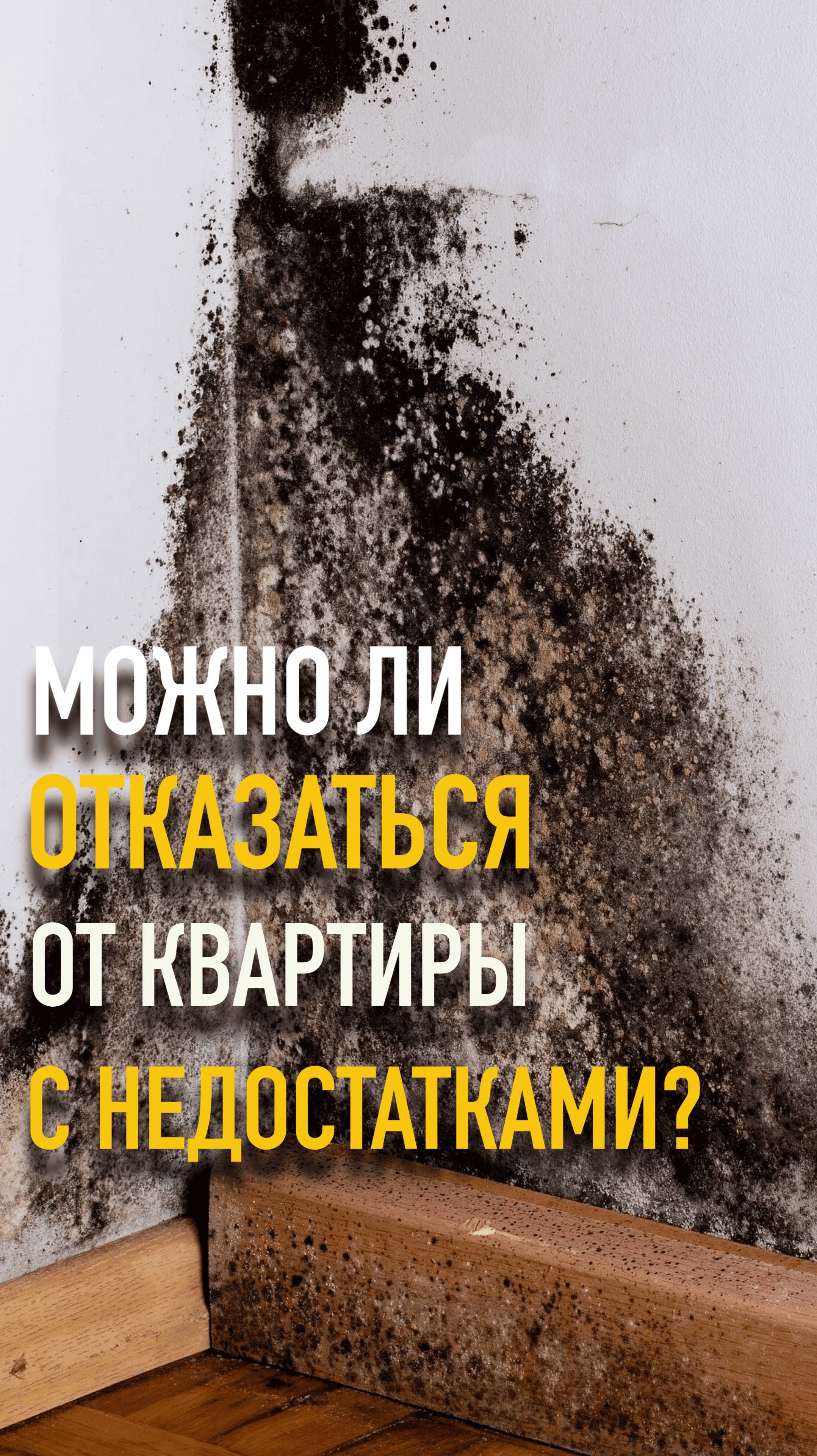Можно ли отказаться от квартиры с недостатками? #mrnadzor #технадзор