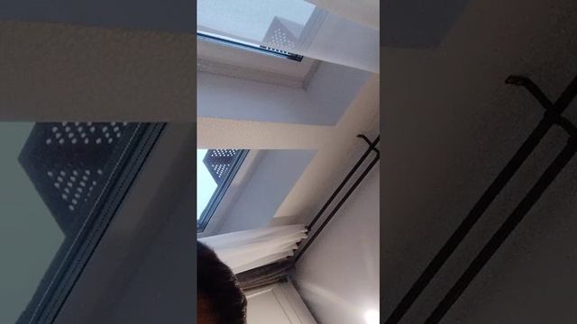 готоим