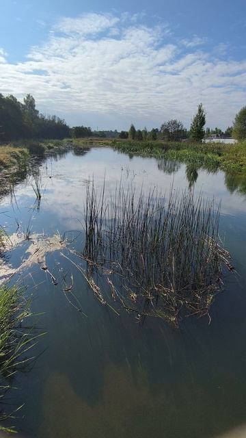 Река Уводь смотреть онлайн