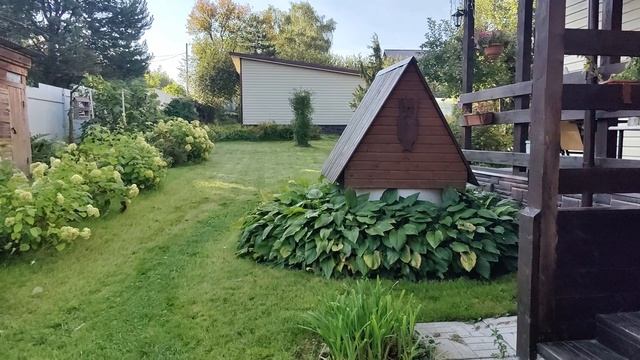 Голуби в небе .С хорошей погодой .       VID_20250905_081115.mp4