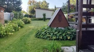 Голуби в небе .С хорошей погодой .       VID_20250905_081115.mp4