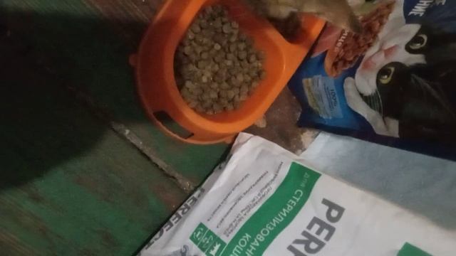 Сухой корм MOONSY смотреть онлайн