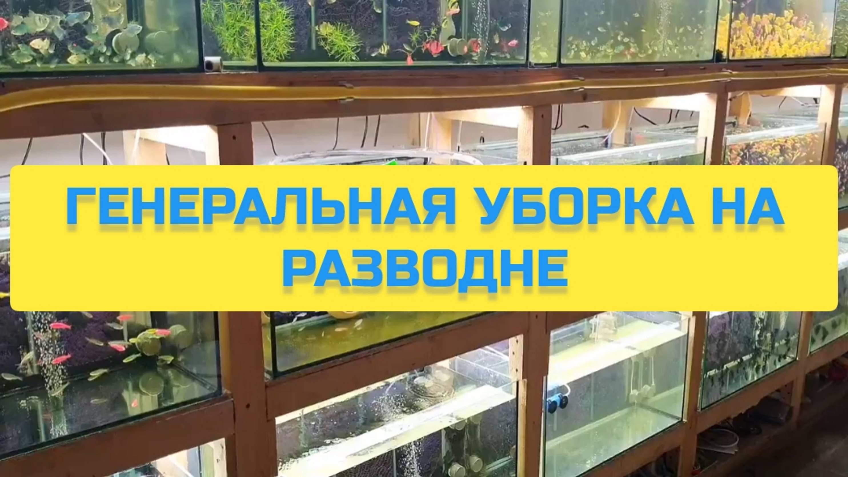 ГЕНЕРАЛЬНАЯ УБОРКА НА РАЗВОДНЕ смотреть онлайн