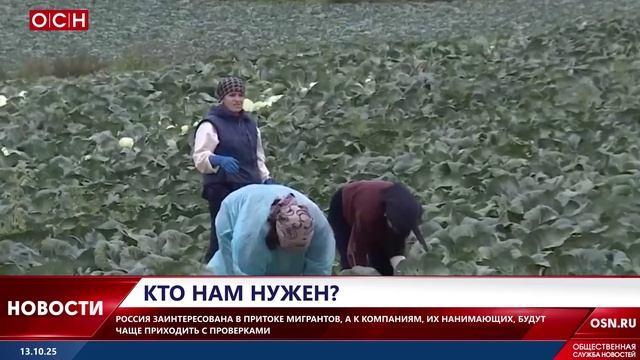 Россия заинтересована в притоке мигрантов, а компании, которые их нанимают будут чаще проверять смотреть онлайн