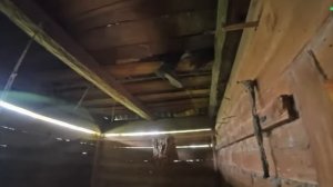 Что будет если словят в Чернобыле? ремонт заброшенного дома (Влад Резнов) реакция #1