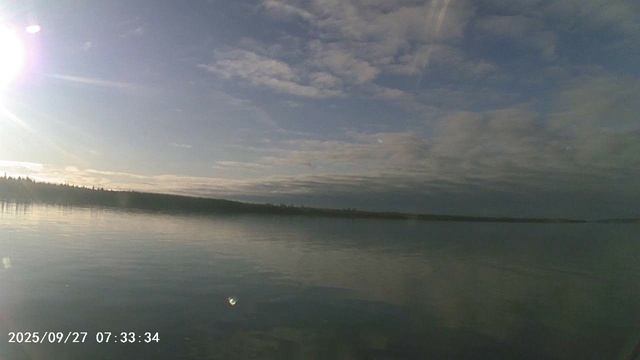 MOV00042 смотреть онлайн