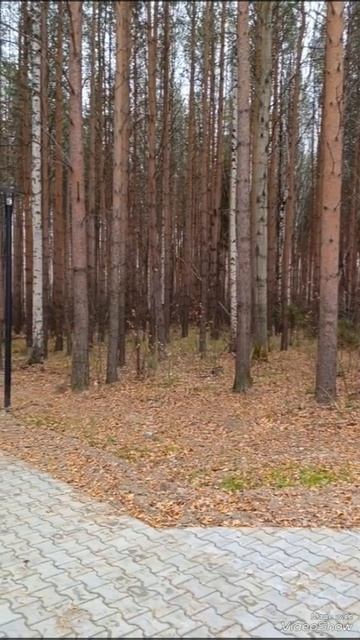 14 октябрь видео.mp4