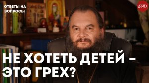 Быть замужем и не хотеть детей это грех? /  священник Игорь Фомин