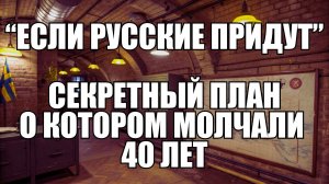 Швеция готовилась бежать от СССР 40 лет: рассекреченный план | Крамаровский пояснит