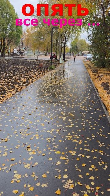 Новый тротуар и уже вот это. Неужели нельзя делать сразу нормально?A new sidewalk and already this. смотреть онлайн