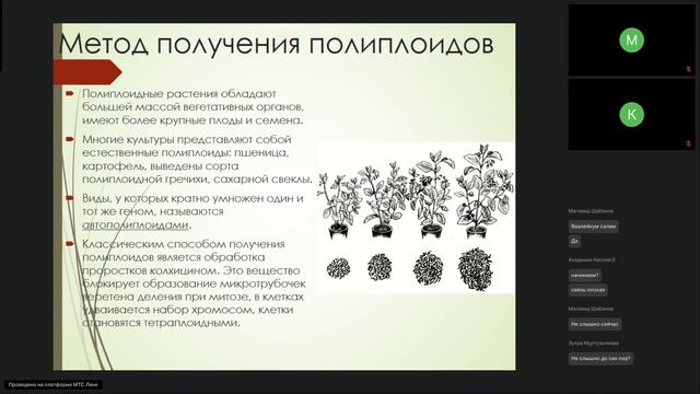 1 гр Агрономия и селекция в области растениеводства ТГУ -лк.- 02.10.2025