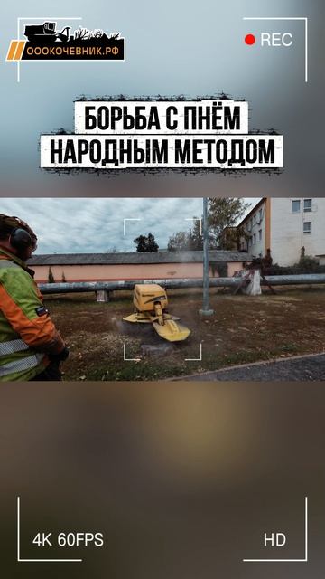 Проверяем эффективность народных методов борьбы с пнями смотреть онлайн