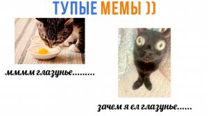 ТУПЫЕ МЕМЫ ПРО ТУПЫХ КОТОВ ))) Приколы с котами | Мемозг 1673