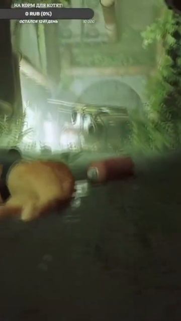 Телега и КОТопульта 😸🛒🧱 #stray #straycat #shorts #shortvideo смотреть онлайн