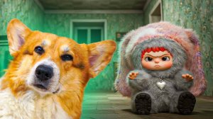 ЖИВАЯ ВАКУКУ В НАШЕЙ КВАРТИРЕ!! ЧО ЕЙ НАДО?